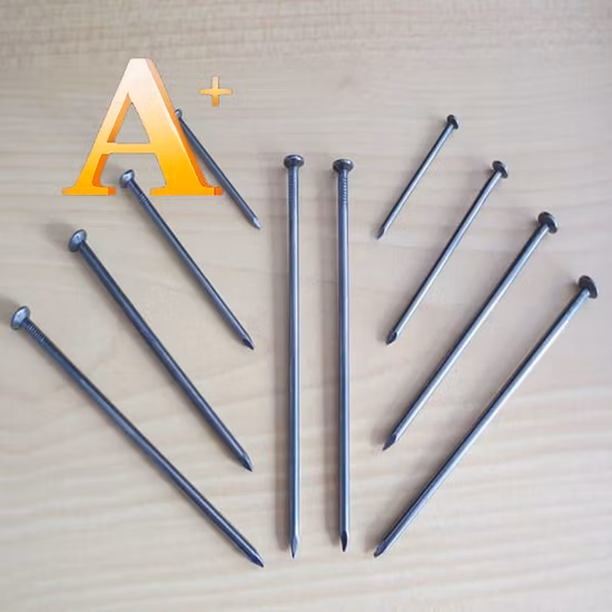 Hot Sale Bulk Nail Eg/BRT/HDG Common Nail Made in China Steel Nail.