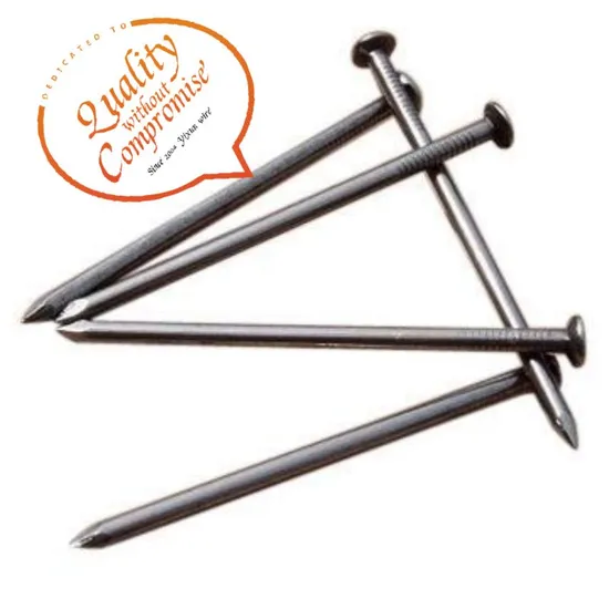 Hot Sale Bulk Nail Eg/BRT/HDG Common Nail Made in China Steel Nail.