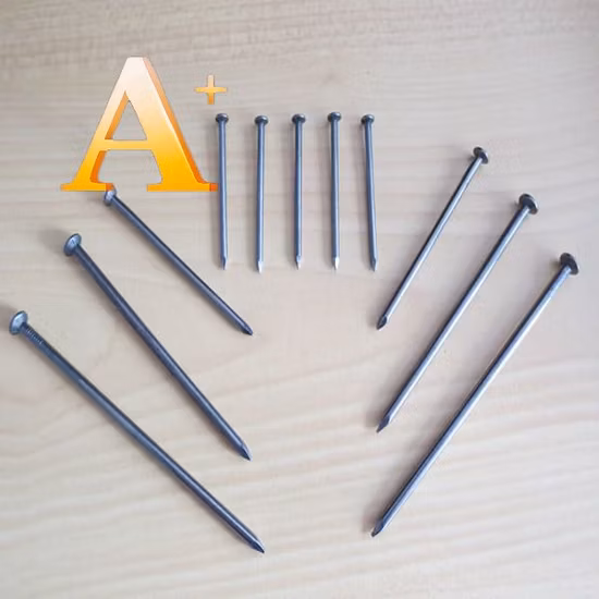 Hot Sale Bulk Nail Eg/BRT/HDG Common Nail Made in China Steel Nail.