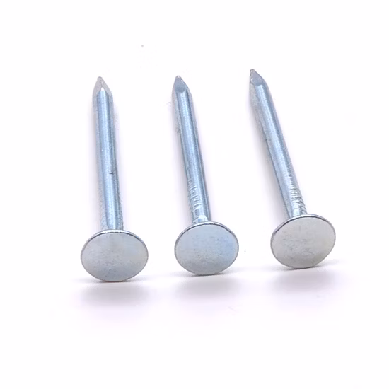 Tianjin Factory Direct Sale Galvanized Clout Nail with Reasonable Price