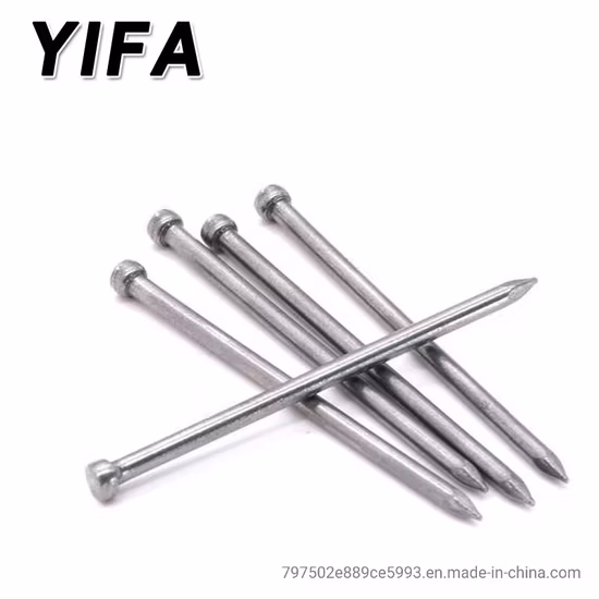 Furniture Accessories Fastener Common Wire Nail