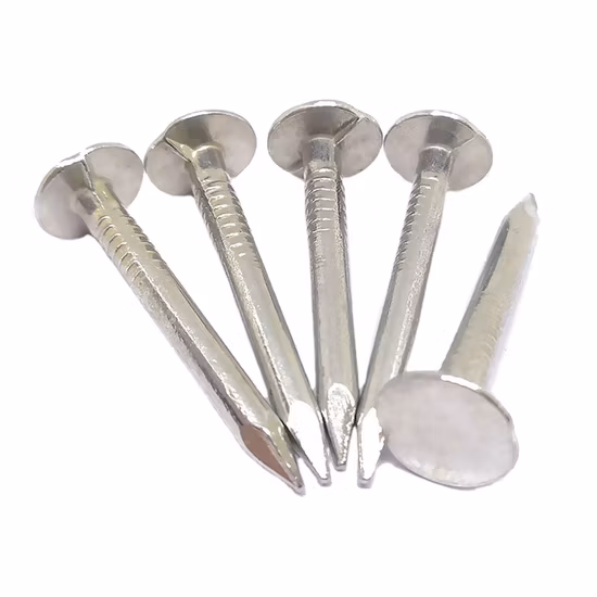 Factory Supplied Big Head Eg Clout Nails Common Nail