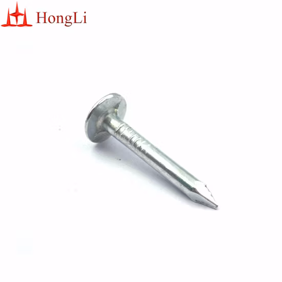 Eg\Polish\Hot DIP Roofing Nail/Clout Nail/Big Head Nail/Copper Nail/Ceiling Nail/Iron Nails