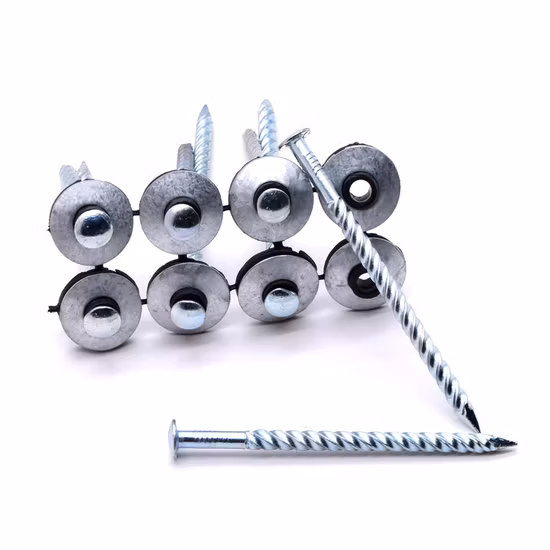 Hot Sale Assembled Sheet Metal Roofing Screws Nail with Washer