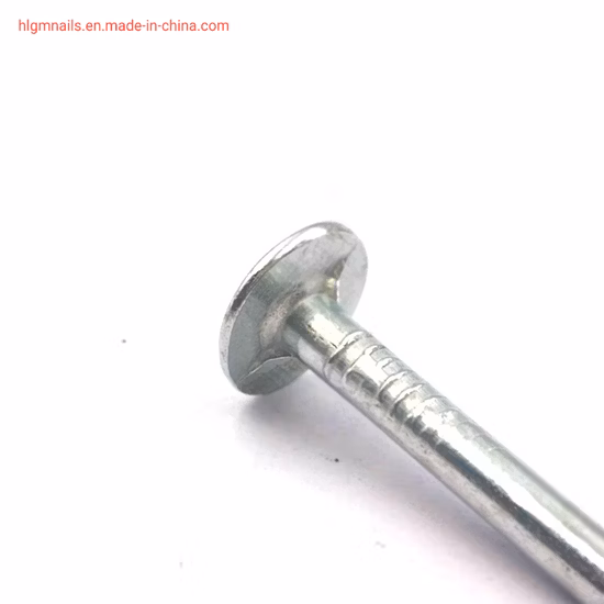 Clout Roofing Nails/Roofing Nails /Felt Nails /Large