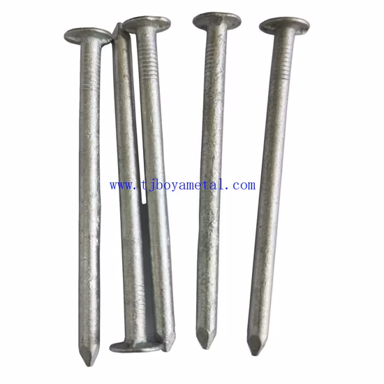 BRT&Eg&HDG Common Nails for Construction