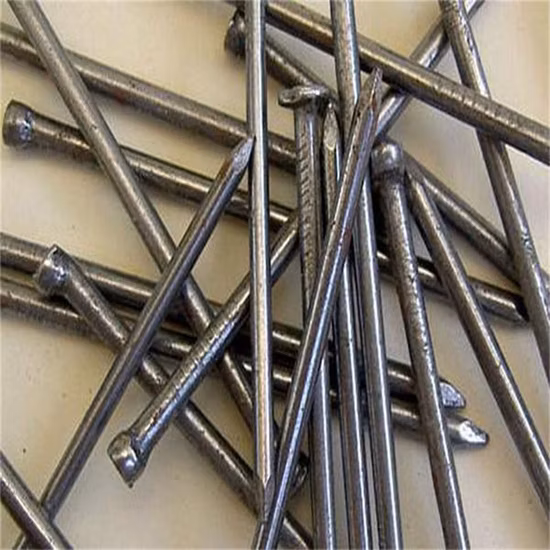 High Quality Hg/Eg Common Nail for Construction