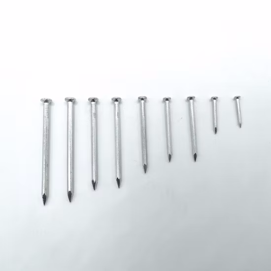 Iron / Steel / Cement /Common/ Round Head/Hook/Roofing/Roll/Shooting/ Nails