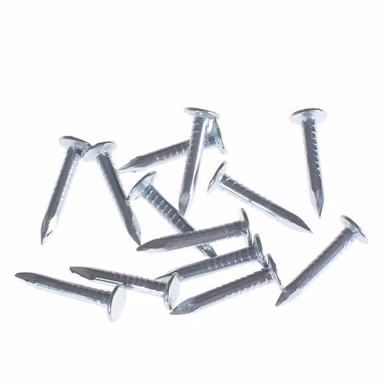 Ring Shank Better Fixation Clout Roofing Nails Flat Head Big Head Nails