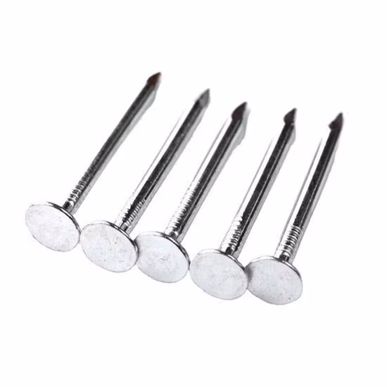 Clouts Nail/Ceiling Nail/Felt Nail Zinc Coated 1